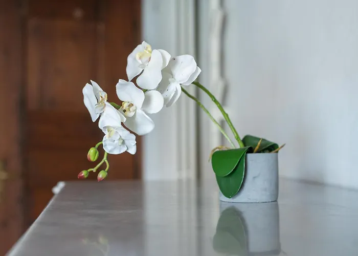 아파트 Casa La Finestra Sul - Welchome 카노비오